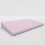 Rampa-Terapeutica-Rosa