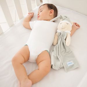 Naninha Sonecão Microfibra Baby Joy Funny - Cinza