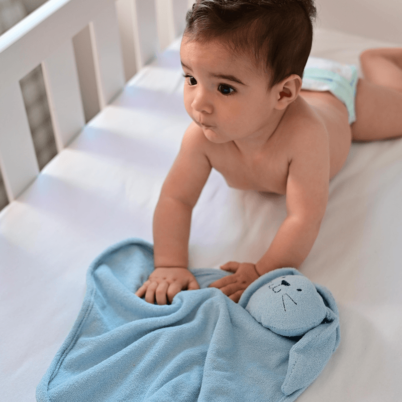 naninha-de-plush-coelho-azul-bublim