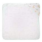 76079_535-toalha-com-capuz-de-canto-estampada-baby-joy-soft-mais-cegonha1