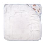 76079_533-toalha-com-capuz-de-canto-estampada-baby-joy-soft-mais-urso-carrinho1