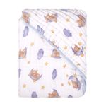 76079_532-toalha-com-capuz-de-canto-estampada-baby-joy-soft-mais-urso-celeste