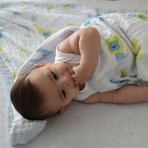 Manta Fralda Animais Baby Joy Soft