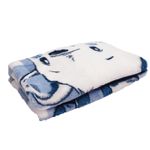260011C2-cobertor-microfibra-urso-soninho-baby-joy