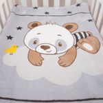 260011C6-cobertor-microfibra-urso-nuvem-baby-joy--2-