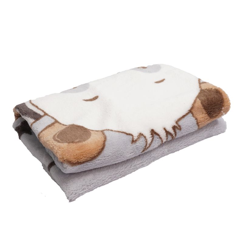 260011C6-cobertor-microfibra-urso-nuvem-baby-joy