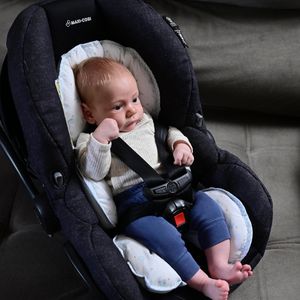 Redutor de Bebê Conforto e Carrinho Baby Joy Fábula